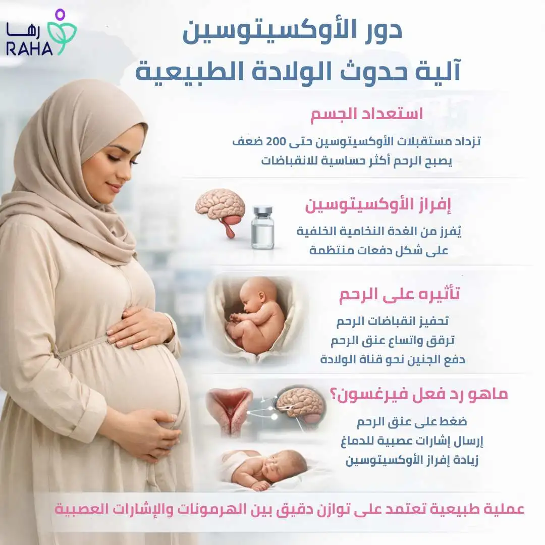 دور هرمون الأوكسيتوسين